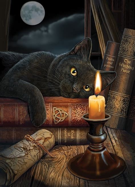 Exploring the Mystical Side of Witching Cats and Drug Use